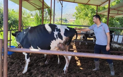 Milas'ta 11 mahalle karantinaya alındı