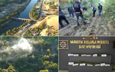 Diyarbakır'da 12 bin 174 kök Hint keneviri ele geçirildi