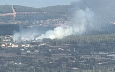 Muğla'da orman yangını: Müdahale ediliyor