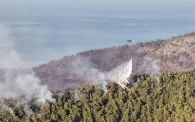 Silivri'de ağaçlık alanda çıkan yangına karadan ve havadan müdahale ediliyor