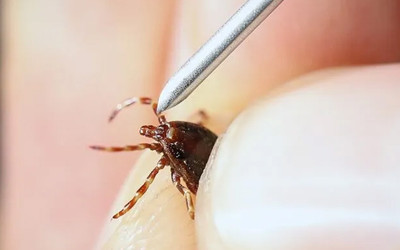 Sivas'ta kene yine can aldı! 6 çocuk babası kurtarılamadı
