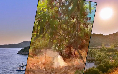 Gözde tatil beldesi Kaş'ta lağım skandalı! Dışkı kokusunu takip edince şok oldu