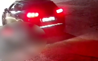 Giresun'da yolda yatan köpeği ezen otomobilin sürücüsü gözaltına alındı