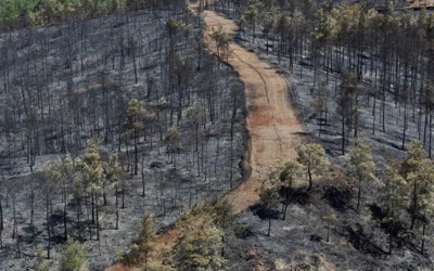 Fethiye'de yanan ormanlık alan havadan görüntülendi