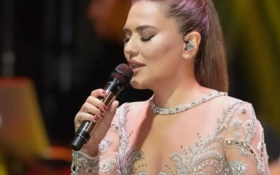 Demet Akalın konserinde şok anları! "Her tarafımı elledi ya"