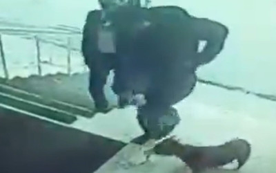Köpek tekmeleyen kaymakama soruşturma