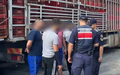 81 ilde kaçak göçmen operasyonu: 19 organizatör, 230 düzensiz göçmen yakalandı