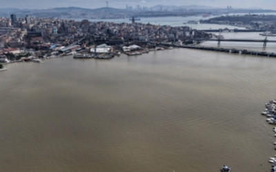 İstanbul Boğazı'nın kıyı kesimlerinde denizin rengi kahverengiye döndü