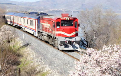 Ücretsiz tren seyahatlerinde yeni dönem! Dijital doğrulama nasıl yapılacak, kimleri kapsıyor?