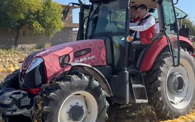 Nevşehir'de coğrafi işaret tescilli çerezlik kabak çekirdeği hasat edildi
