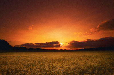 Peygamberimizin gelecekten verdiği haberler! - Resim: 2