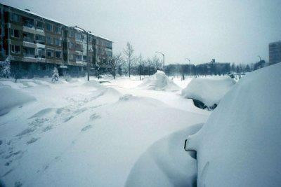 Yıl 1987... Sabah uyananlar şoke oldu! - Resim: 2