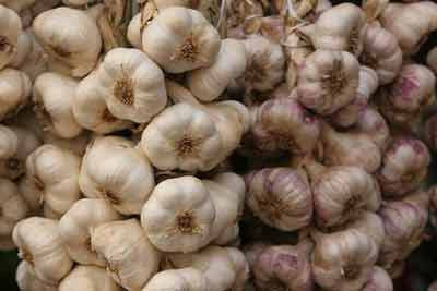 Akıl almaz YASAKLAR! - Resim: 4