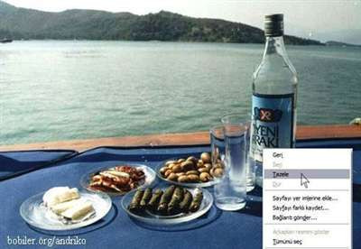 Keşke gerçekten yapabilse! - Resim: 3