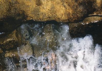 Zemzem suyunda bir mucize var ki! Ezan okununca... - Resim: 3