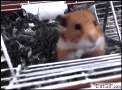 Sonlarını asla tahmin edemezsiniz! - Resim: 3