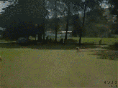 Gözlerinize inanamayacaksınız - Resim: 2