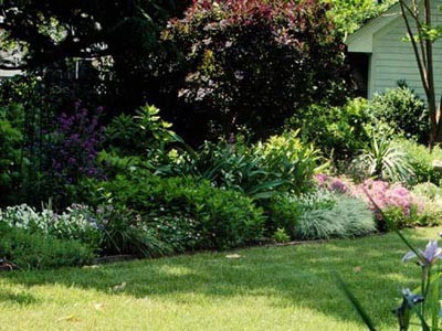 Bahçeye çiçek ekmek istedi toprağı kazdıkça öyle bir şey çıktı ki - Resim: 3