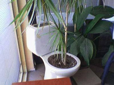 Gülmekten kırıp geçiren ilanlar! - Resim: 2