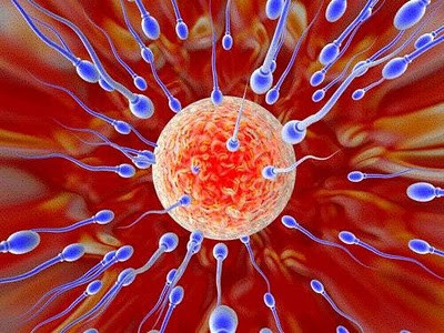 Bu yiyecekler sperm düşmanı! - Resim: 4