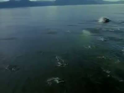 Dev yaratık böyle görüntülendi - Resim: 1