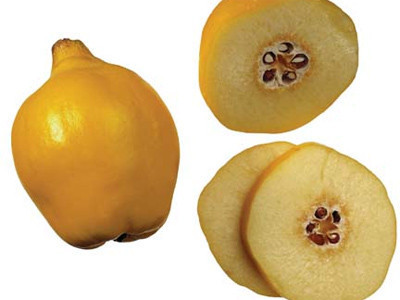 Ayvayı yememek için - Resim: 3