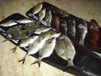 8 adımda selülitten kurtulun! - Resim: 2