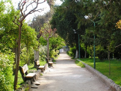 Hatay'ın en güzel hali - Resim: 2