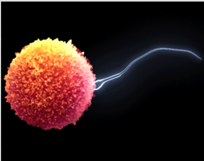 Bu yiyecekler sperm düşmanı! - Resim: 2