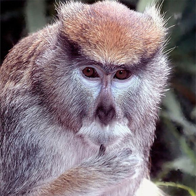 2 saat ömrü var - Resim: 3