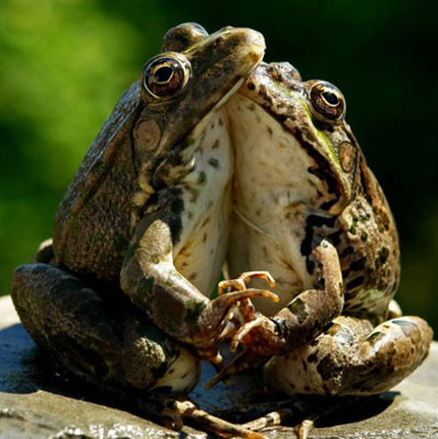 Nefes nefese hayati mücadele! - Resim: 3