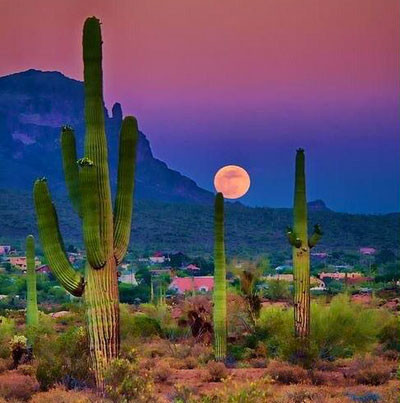 Günün Çarpıcı kareleri İran'ın öteki yüzünü gördünüz mü? - Resim: 2