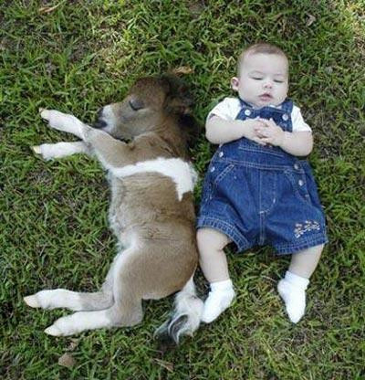 Pişman olsalar da artık çok geç! - Resim: 3