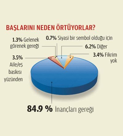 Yapılan son anket - Resim: 2