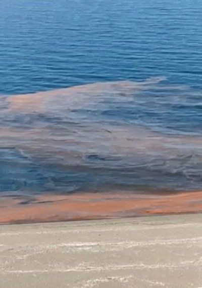 Bursa Kurşunlu’da denizin rengi turuncuya döndü sebebi ise bakın ne - Resim: 2