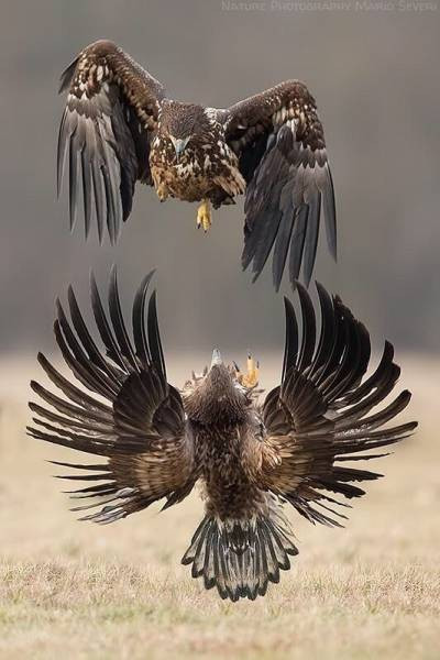 Şimdi onu dünya tanıyor! - Resim: 4