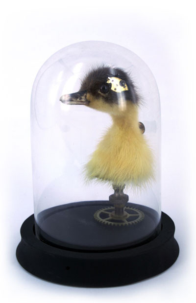 Dünyanın en ilginç tasarımları - Resim: 4