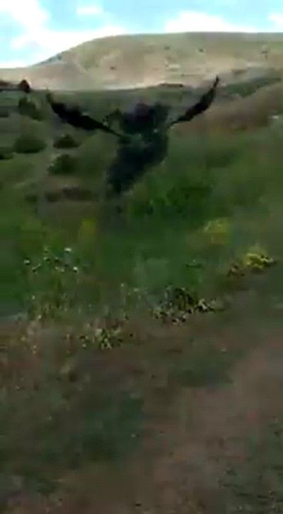 Sivas'ta 2 metrelik yılan ve dev kartalın savaşı! Son anda kurtarıldı - Resim: 3