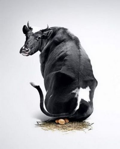 Tasarım harikaları  - Resim: 3