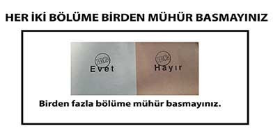 Dikkat! Bunu yaparsanız oyunuz geçersiz olur - Resim: 3