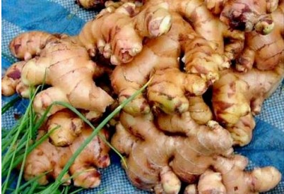 Kış sebzeleri şifa kaynağı - Resim: 3