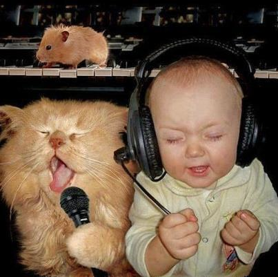 Bu fotoğraflar güldürüyor... - Resim: 1