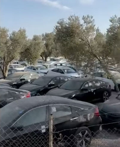 Honda Civic marka otomobiller stoklandı mı? Görüntüler olay oldu Honda'dan açıklama - Resim: 1