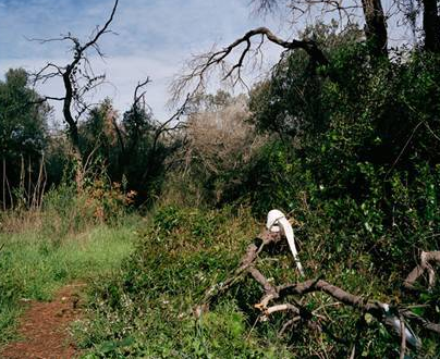 Seks işçisi kadınlar böyle görüntülendi - Resim: 3