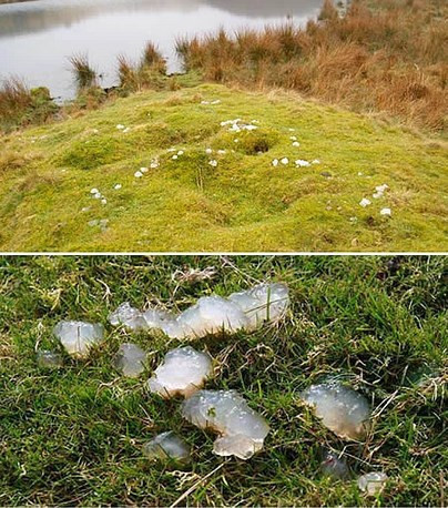 Dünyanın en garip yağmurları - Resim: 4