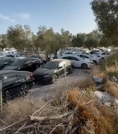 Honda Civic marka otomobiller stoklandı mı? Görüntüler olay oldu Honda'dan açıklama - Resim: 0