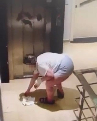 Alanya'da kabus 2 ay sonra geri döndü apartman sakinleri tedirgin - Resim: 1