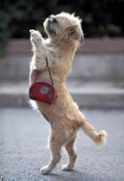 Gülmekten kırıp geçiren kareler! - Resim: 2