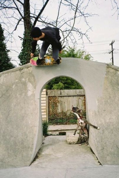 Günün şok edecek fotoğrafları - Resim: 2