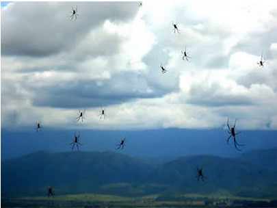 Dünyanın en garip yağmurları - Resim: 1